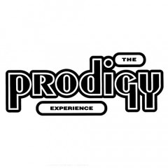 The Prodigy: Experience, 2LP