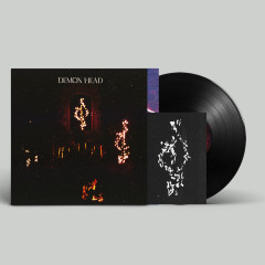 Demon Head - Through Holes Shine the Stars, LP