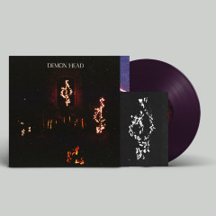 Demon Head - Through Holes Shine the Stars, LP (Transparent Violet) 