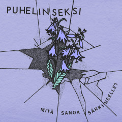 Puhelinseksi - Mitä sanoa särkyneelle?, CD
