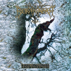 Borknagar - Borknagar - Borknagar - Borknagar - The Olden Domain