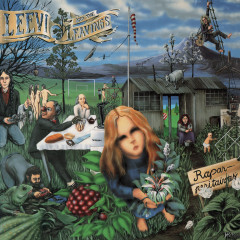 Leevi and the Leavings - Raparperitaivas