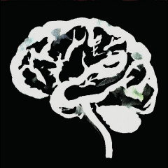 Ruins - Brain Flakes, LP