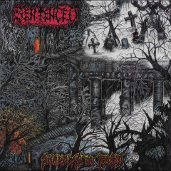 Sentenced - Shadows of Past, CD