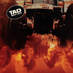 TAD - Salt Lick, MLP
