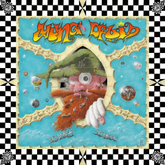 Yung Druid - Wooden Lungs, Mini-LP (orange/yellow)