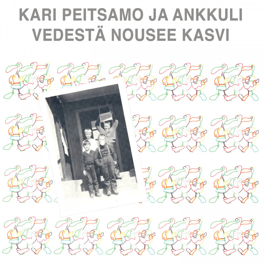 Kari Peitsamo & Ankkuli - Vedestä nousee kasvi, LP