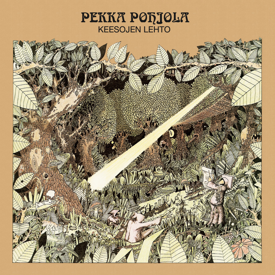 Pekka Pohjola - Keesojen lehto / Mathematician's Air Display, LP