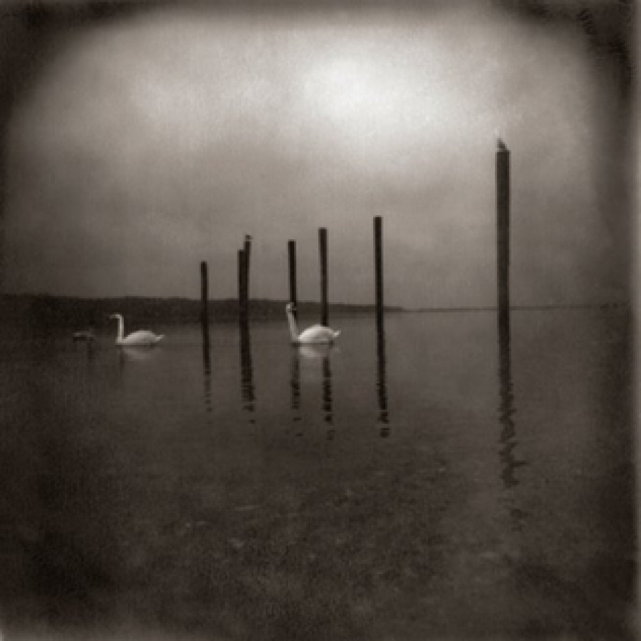 OM - Conference of the Birds, LP