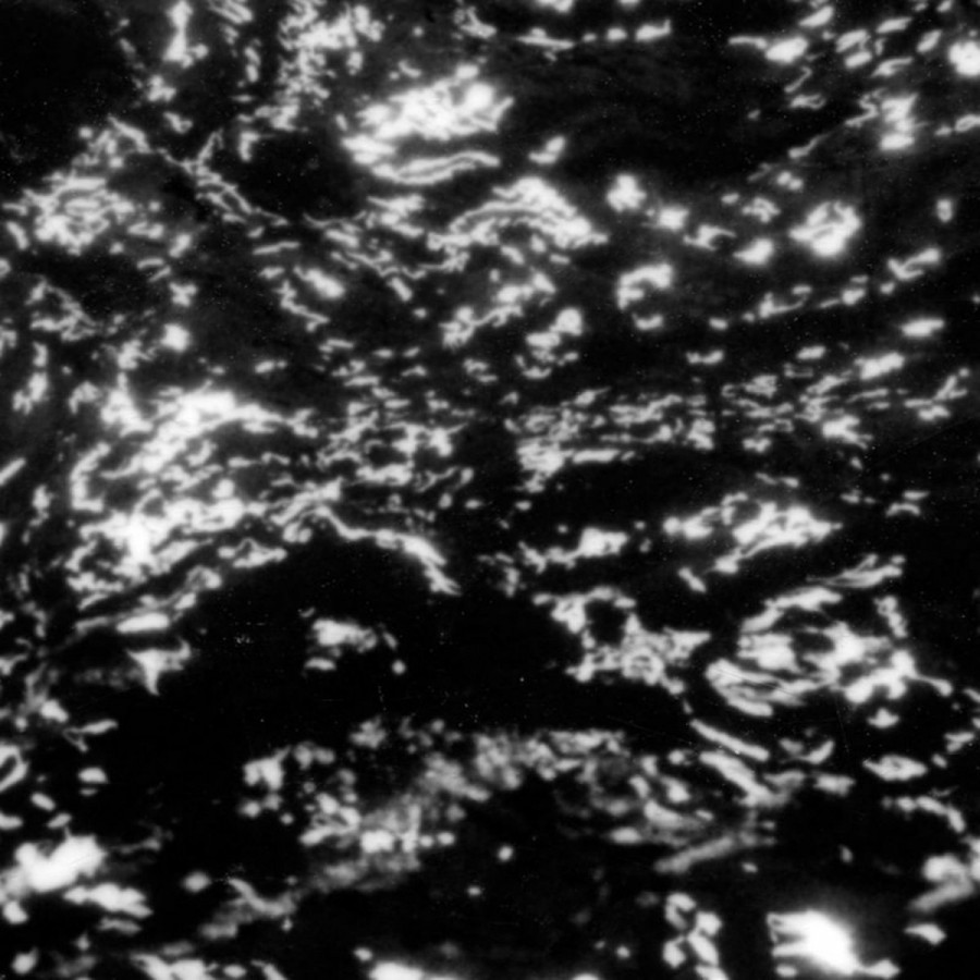 Grouper - A I A : Dream Loss, LP