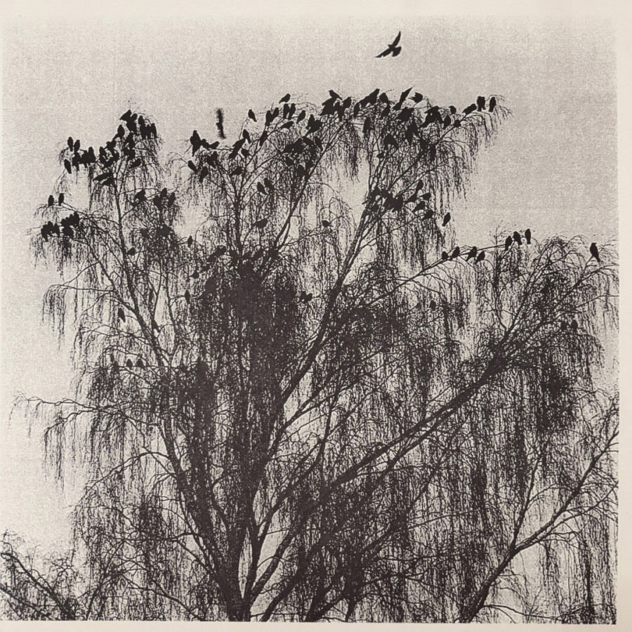 Nærværet -  Når Man Ser Inn I En Annens Hjerte, LP