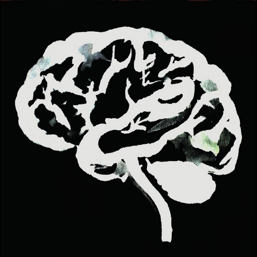 Ruins - Brain Flakes, LP